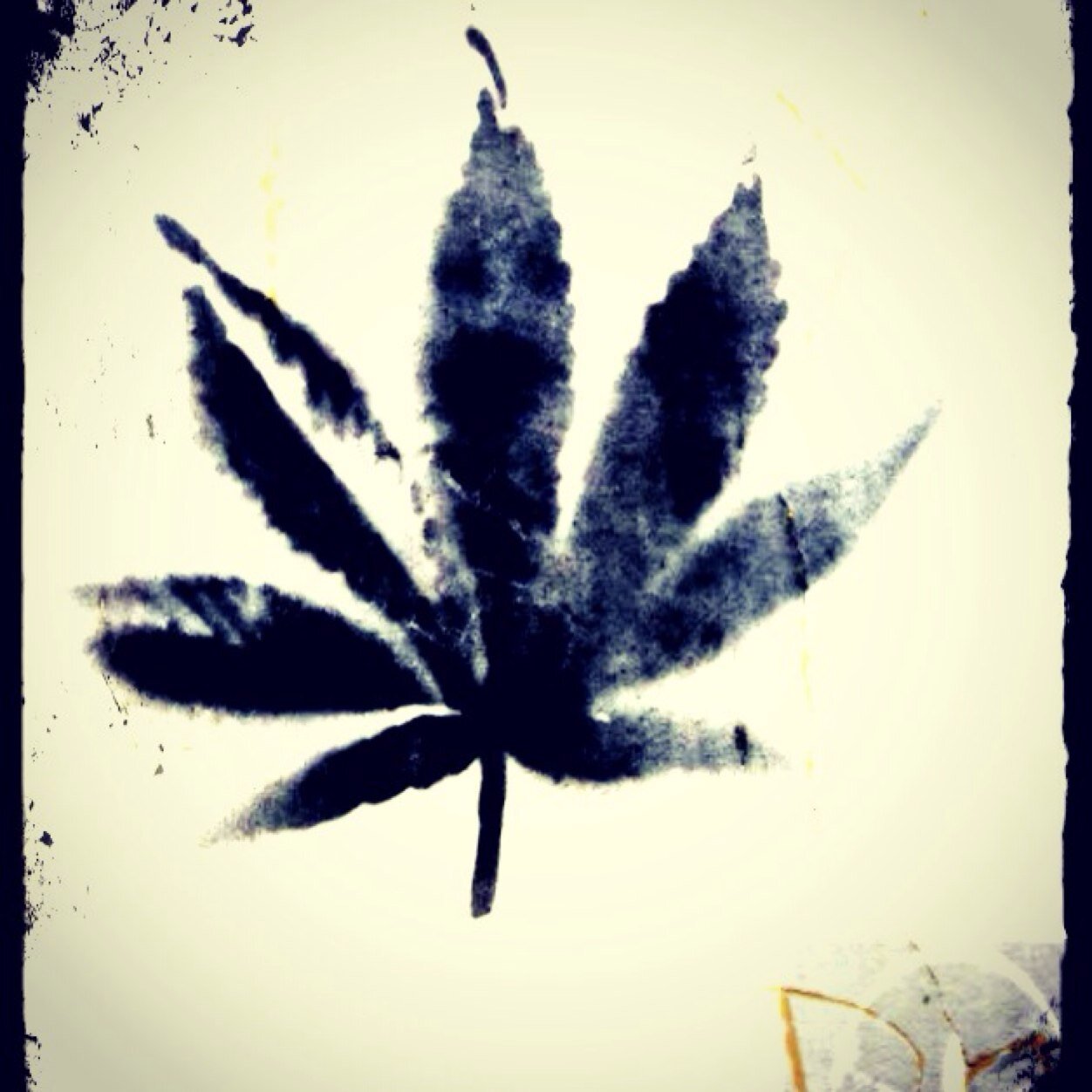 Promoting The Truth About Cannabis