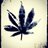 CannabisQuality's profile image