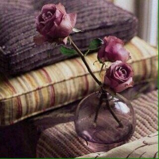 r1a233's profile picture. 