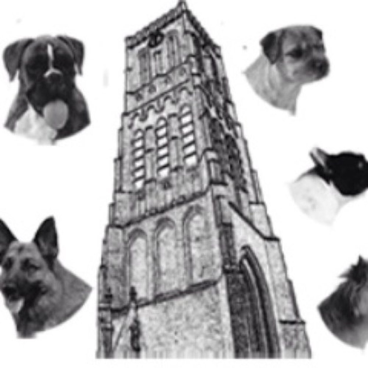 kc_Oss's profile picture. Bij deelname aan activiteiten van kynologen clubs gaan opvoeding, sport en recreatie vaak hand in hand. kijk op onze site!