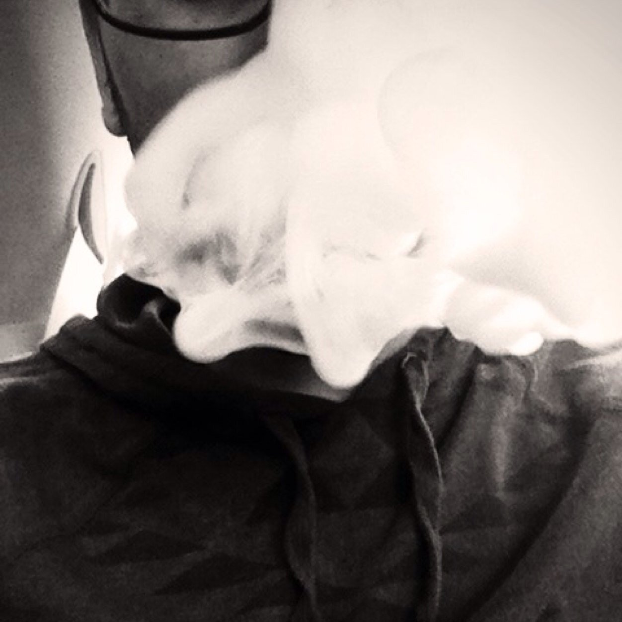 Cannabis Connoisseur.