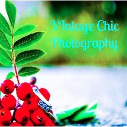 I am a young photographer who loves doing portraits and capturing the beauty of the world around me which I use in stock photos for you to enjoy as well.