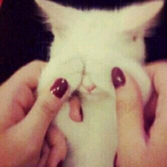 دُنيا فانيهہ لا تعلمْ ﻣﺘىَ ستغادرهَا فقضِها بما يُرضي ربك ♡'