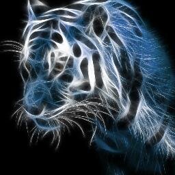 nosup23's profile picture. Likes gaming and tech and stuffs