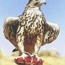 تركي فيصل سعود (@0505217372) Twitter