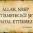 albayrak_pinar's profile image