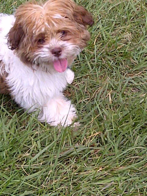 Quentin_Yake's profile picture. 