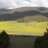 luzmaria_torres's profile image