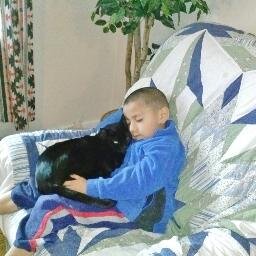 profile picture is my adopted family and he is holding my now passed on Sherlock.  Bring me your tired, sick, cold and hungry kitty and I will help it.