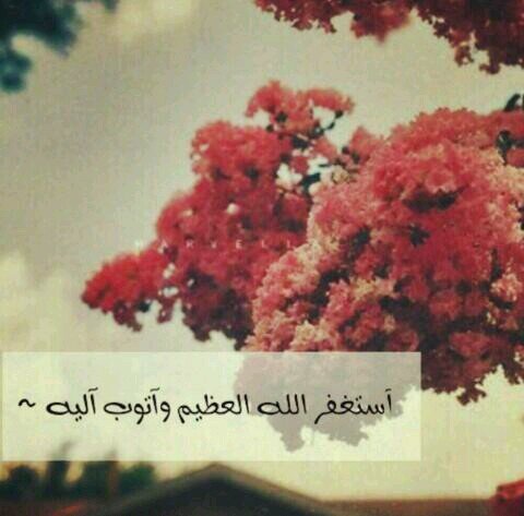 سبحان الله والحمدلله ولا إله إلا الله والله أكبر ولله الحمد  أحرص ع ذكر الله سبحانه ف كل وقت
