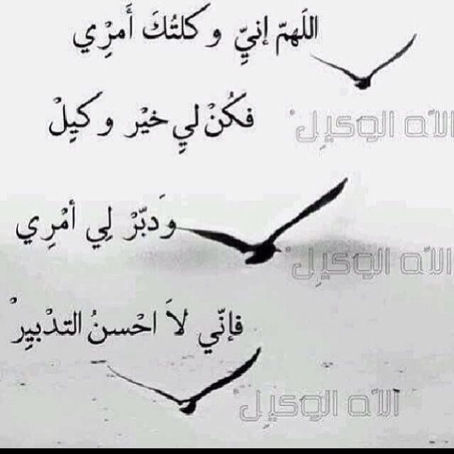 اللهٌم . . لآ تطوي صفحة حيآتي ، الأ وقد محوت سيئاتي وقبلت توبتي وسترت عيوبي ، وأستجبت دعآئي