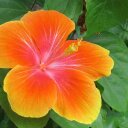 kim magee - @IwantBoraBora - Twitter