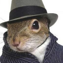 SquirrelyW's profile picture. Broadway squirrel. Singer, actor, dancer, tree climber. Soon appearing in Phantom of the Squirrel. #StageySquirrel