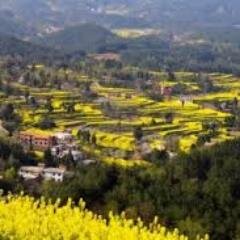 travelandtech12's profile picture. passionate about tech and mobile. battling wanderlust