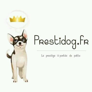 prestidog's profile picture. Vêtements et accessoires pour nos petits chiens