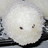 shari_ng's avatar