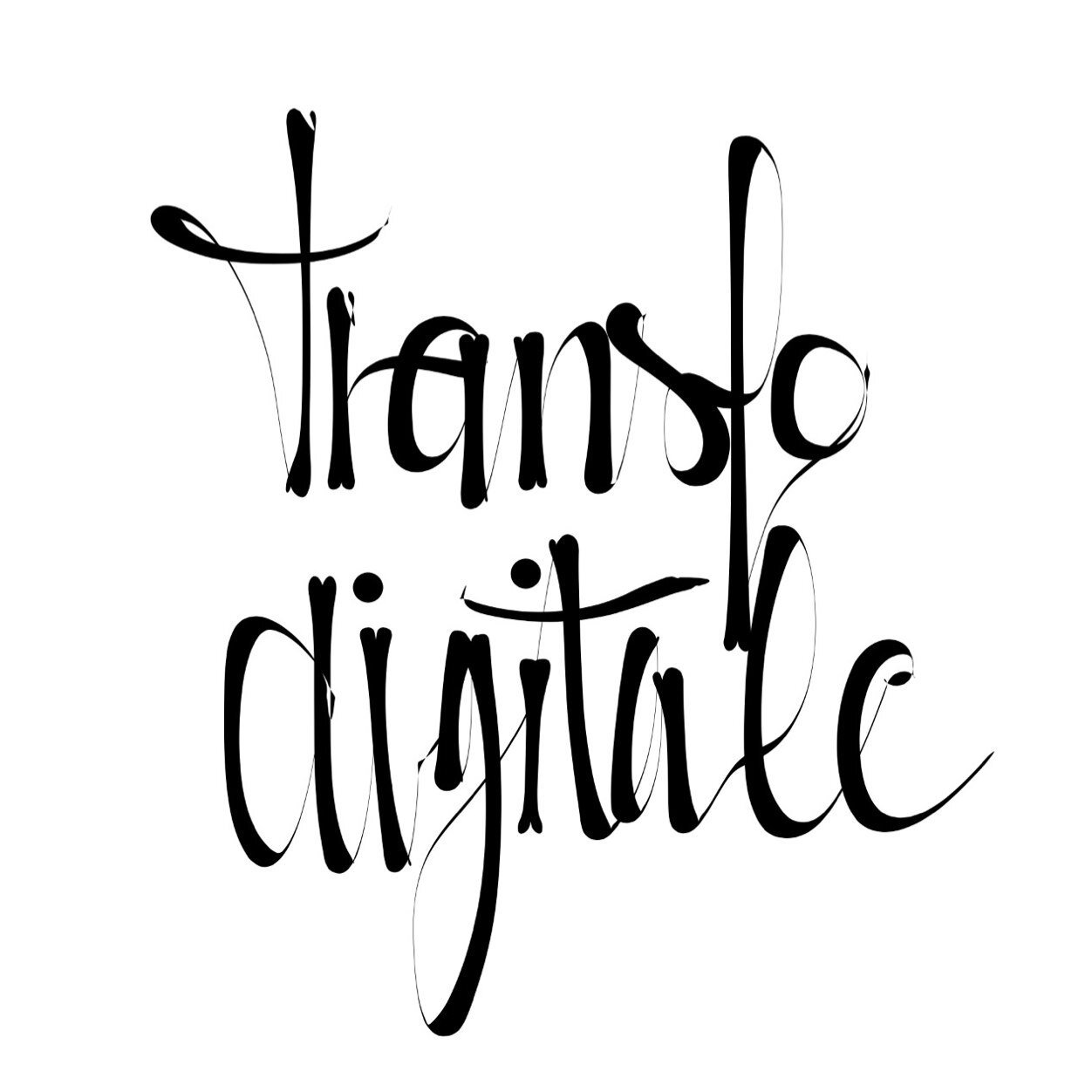 transfodigital's profile picture. Comme son nom l'indique ! #transfodigitale #TransfoNum #newuse #mydata