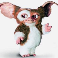 Gizmo (@gizmo_gremlin_) 's Twitter Profile