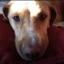 Tyler trammel - @trammel_91 - Twitter