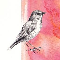 はらさんのプロフィール画像