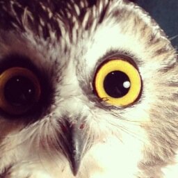 ryncreative's profile picture. Multimedia Producer