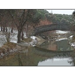 rozas_las's profile picture. 