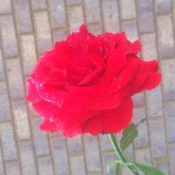 zojilove's profile picture. 더러운 씹걸래년이고 암캐년너덜보지 좇대가리 물만 먹고사는 좇물받이 씹보지 암캐년이고 능욕.수치풀씹년임 오빠들 씹보지욕많이 세상 개걸레욕 다해줘요ㅋㅋ(카톡,틱톡,사진요구,오프××××),,D.M ♥상황극& like ㅋㅋ오빠들나 지금 젖어서ㅆㄱ 싶오용 ..헤헤