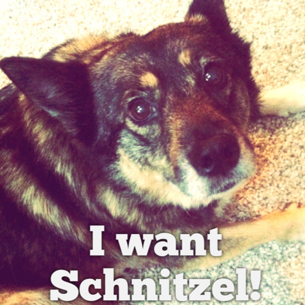 Hollow_Client's profile picture. 