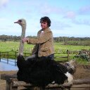 fay cole - @faycole2 - Twitter