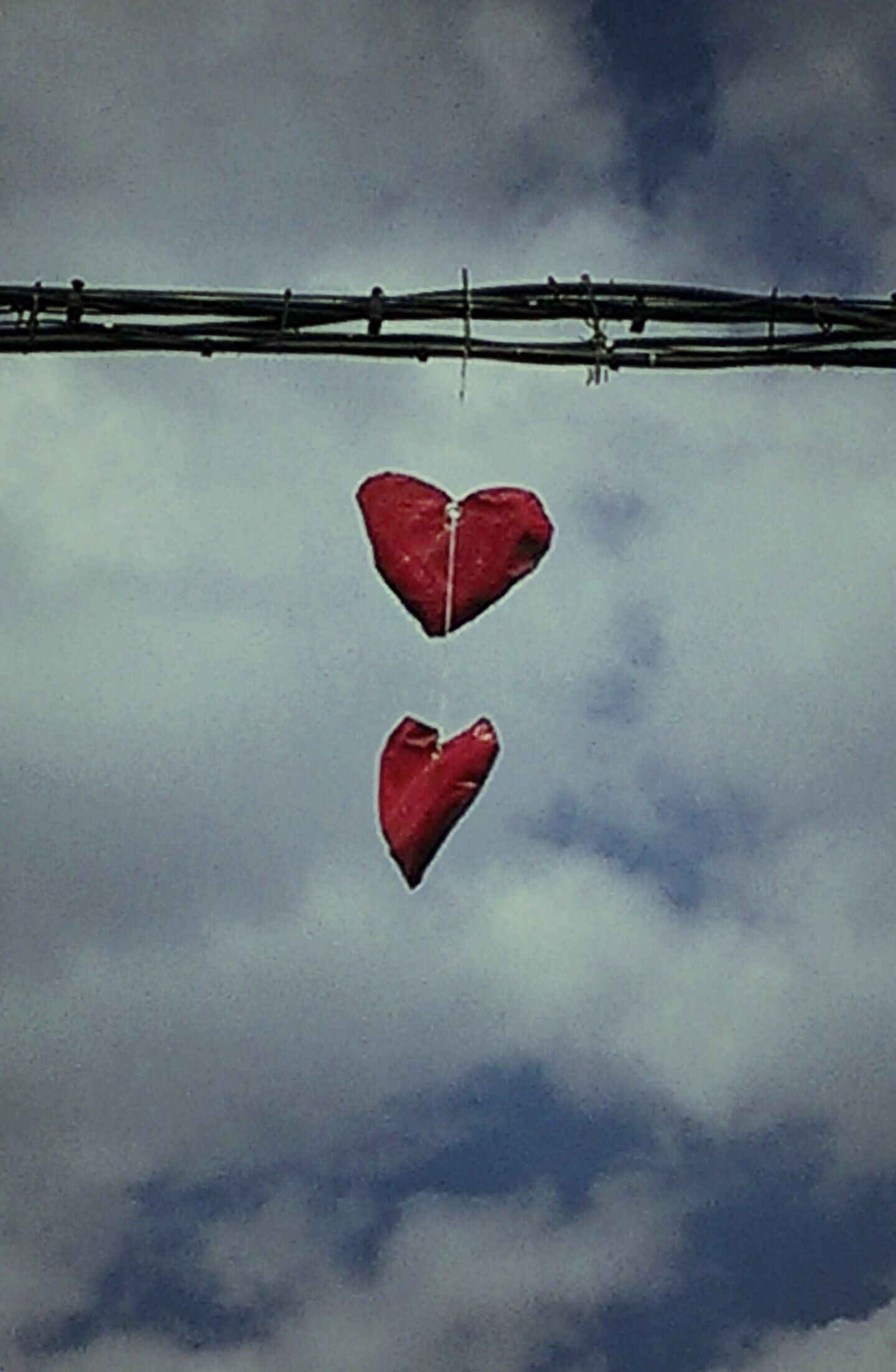 Blakaii's profile picture. Mis fotografías en:

https://t.co/947JRILw3l
https://t.co/uGsSCW3yNa
https://t.co/OmkgEGHYpK