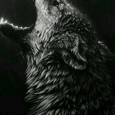 一匹狼 A Lone Wolf1 Twitter