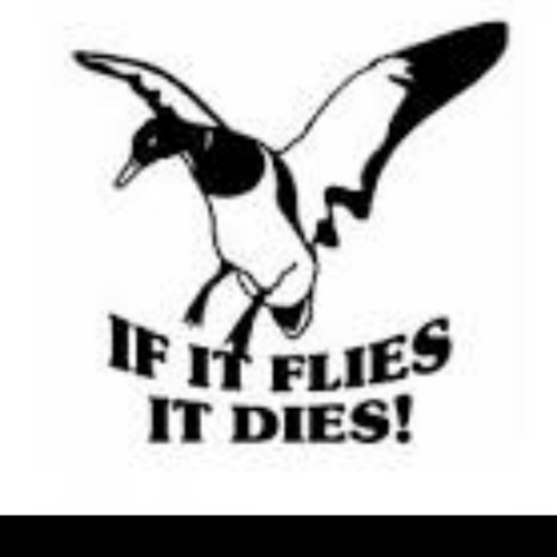 _IRISH32's profile picture. Irish32