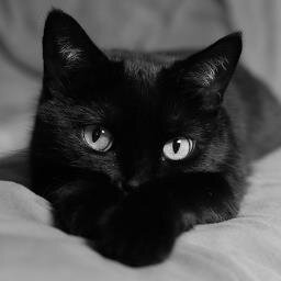 LASC1971's profile picture. Wife, Mother, and political watcher on all levels