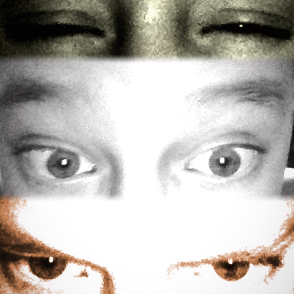 dylan chapman (@dylanchapman12) | Twitter