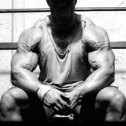 Frases que te motivarán a aumentar tus musculos, a sentirte más fuerte, porque si quieres puedes. Impossible is nothing. NO PAIN, NO GAIN