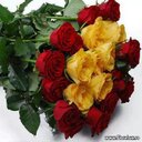 58ali (@58ali1) Twitter