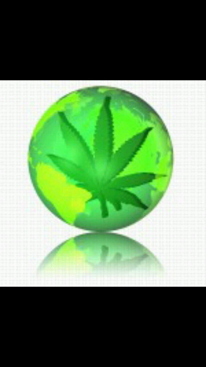 Fumo porros a diario para poder vivir dia a dia.      Piensaenverde