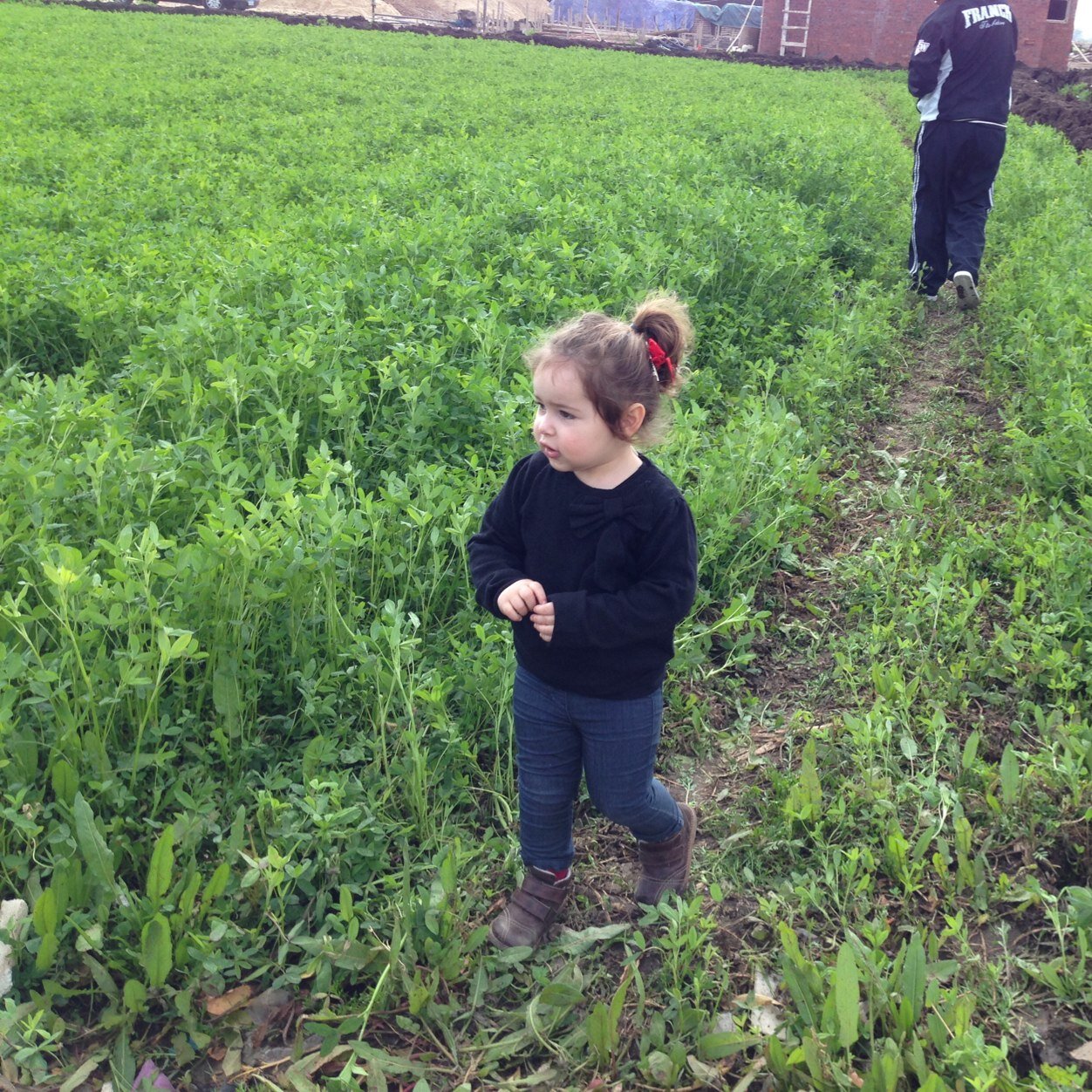 TahaBibo's profile picture. 