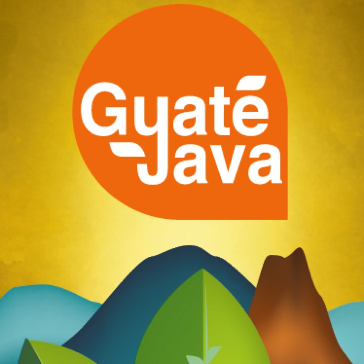 Guatemalan coffee Empowering Guatemalans! Puro Chapin! Representing marginalized smallholder farms to gain access to direct markets--and so much more!