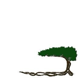 RootedCYAJ's profile picture. Rooted: Catholic Young Adults of Jackson | Connecting people in their 20s and 30s with each other, Jesus, and His Church.