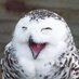 Cara de cemento (@caradecemento) Twitter profile photo Cara de cemento (@caradecemento) Twitter profile photo