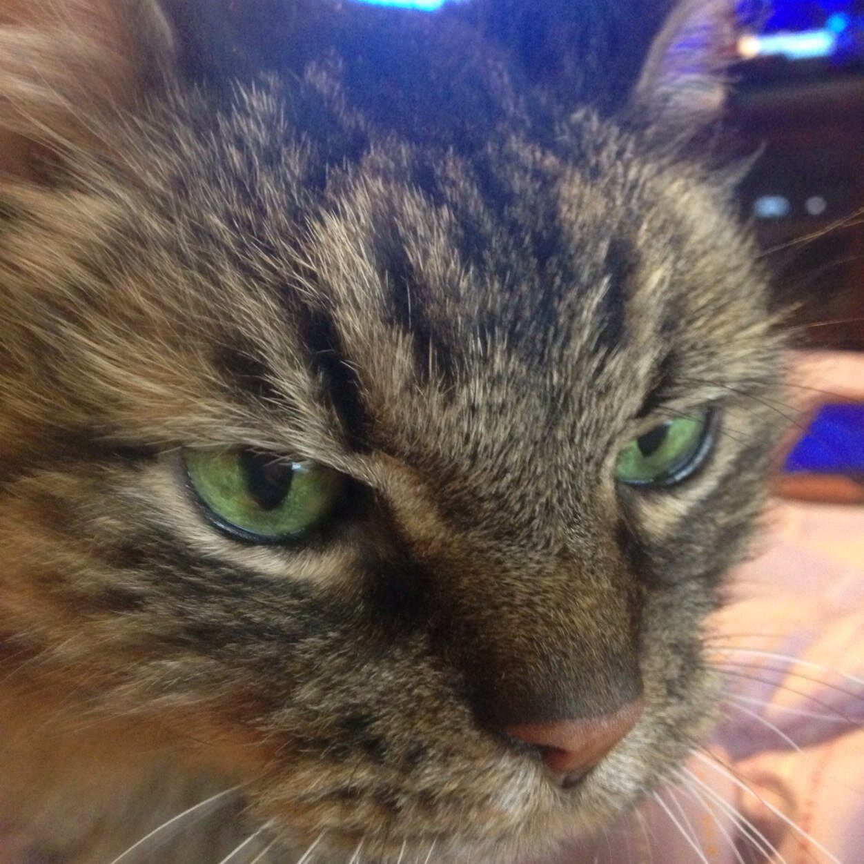 JennyBean132's profile picture. I am the crazy geek science teacher you all wished you had in school.