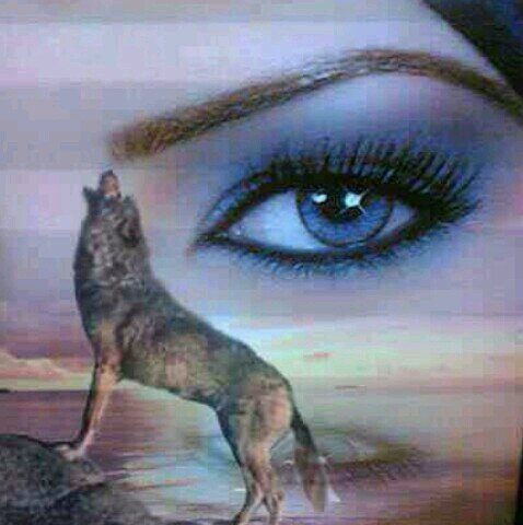 sas73sas88's profile picture. 