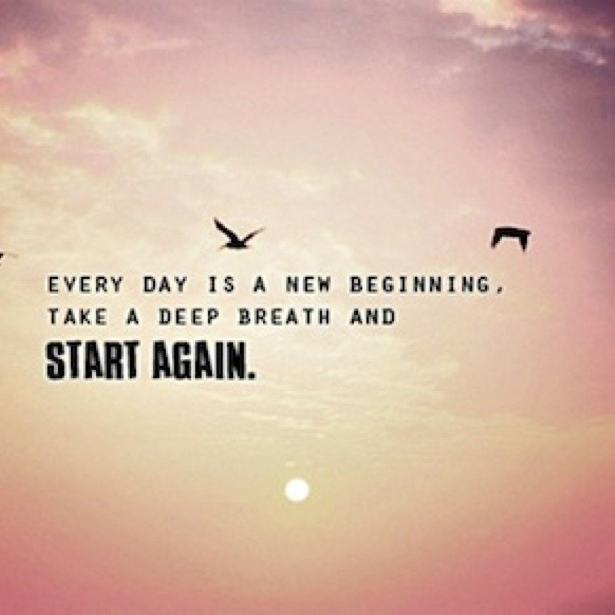 BestestQuotes14's profile picture. 