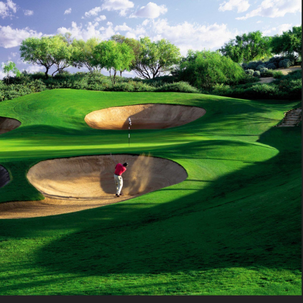 love_For_Golf's profile picture. For the love of golf!