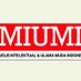 MIUMI YOGYAKARTA (@miumidiy) Twitter profile photo