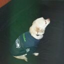 Barbara Davison - @sk8rsnan - Twitter