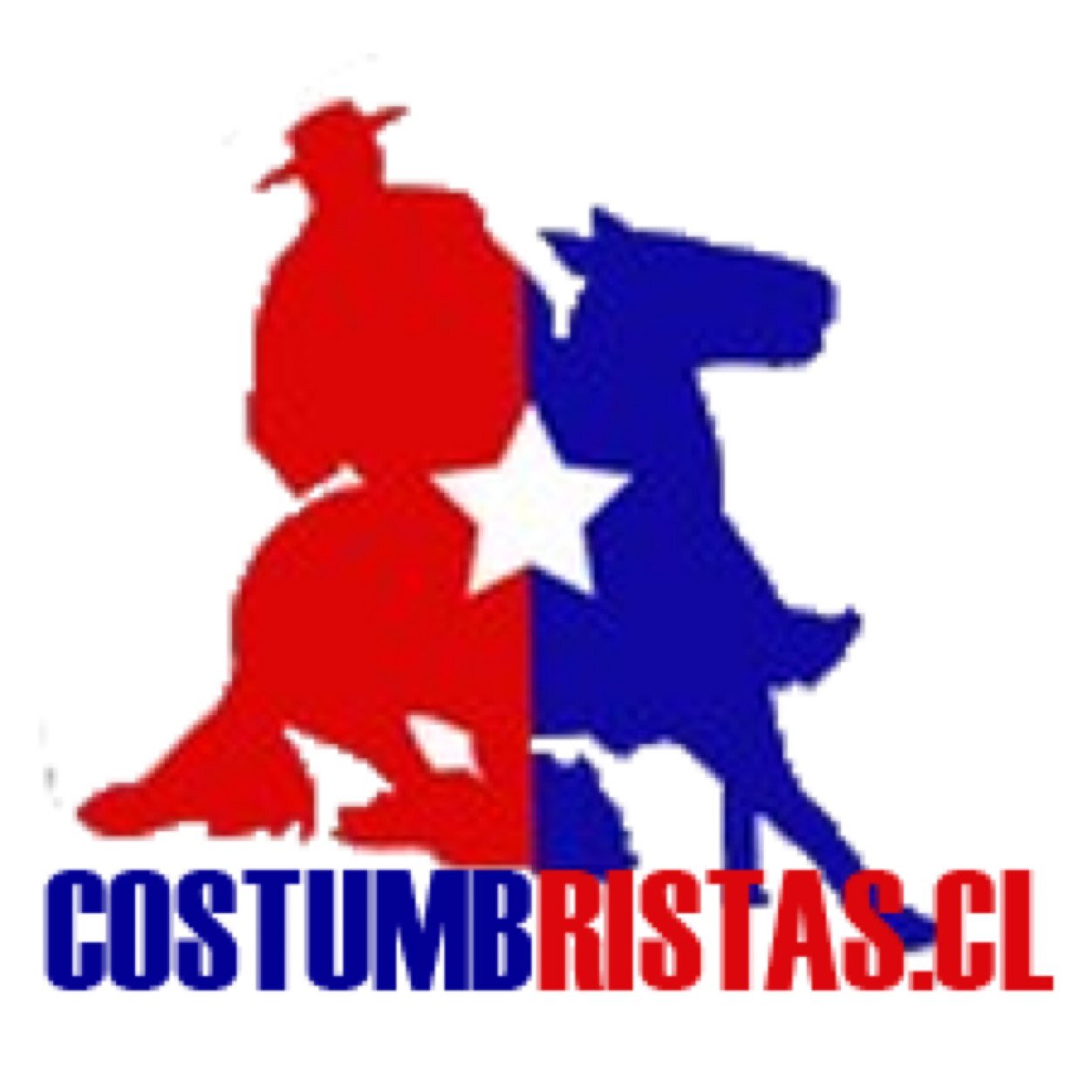 Todas las Fiestas Costumbristas de Chile, la encontrarás acá. costumbristascl@gmail.com