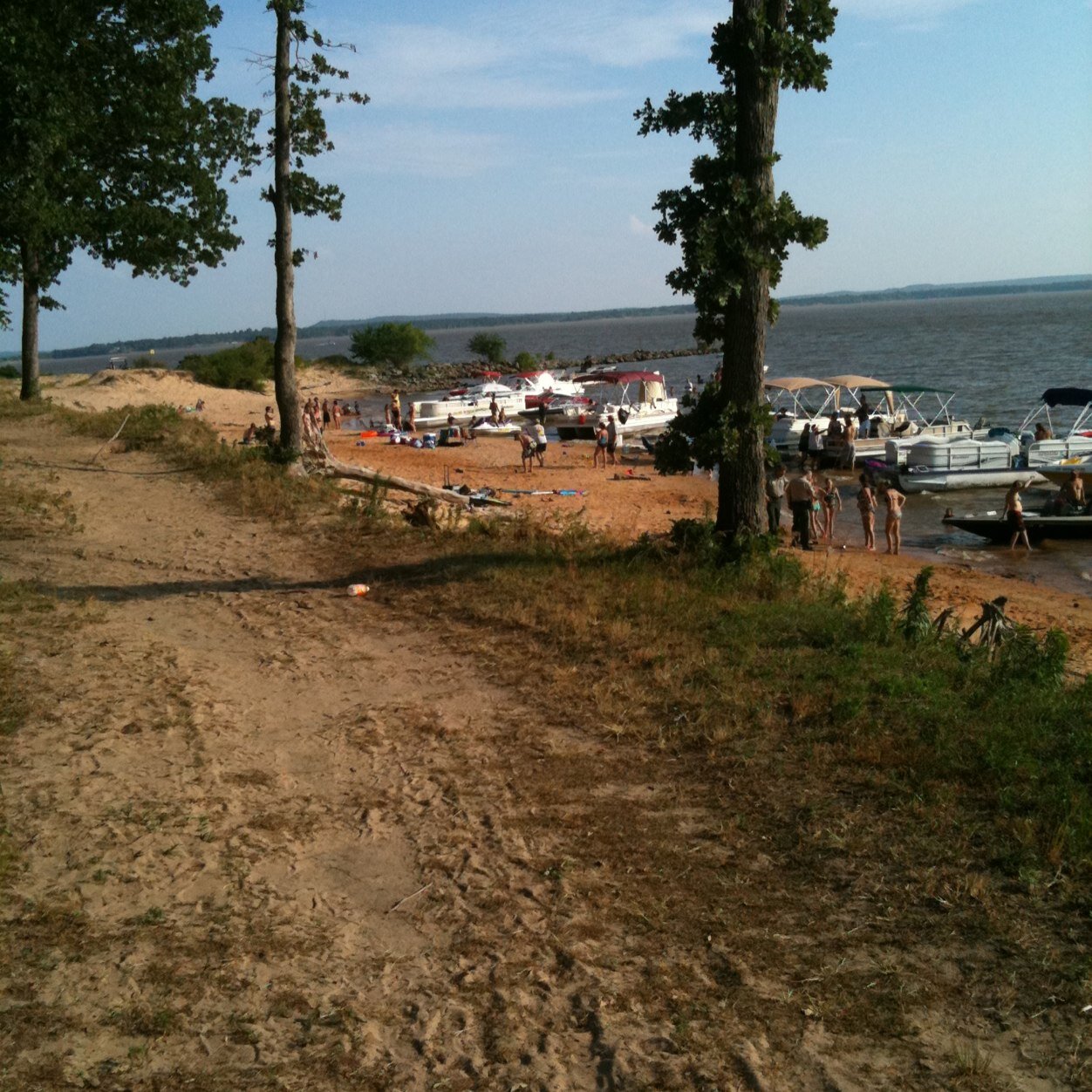 y_gproh2's profile picture. 