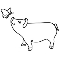 The butterfly and the pig (@butterflyandpig) 's Twitter Profile